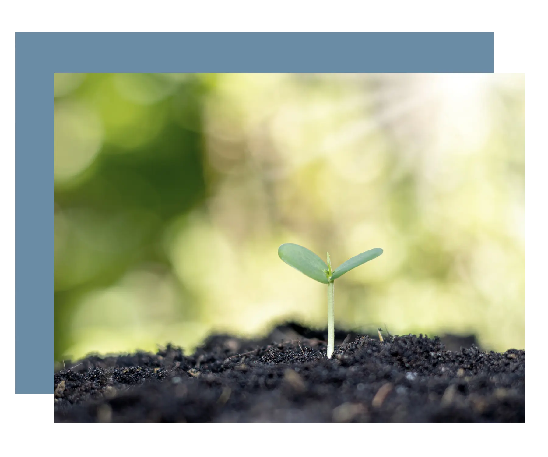 Iværksætteri og opstart af virksomhed